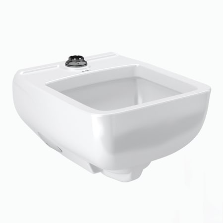 Sloan SS3200 Wall Hung Healthcare Service Sink 3873200